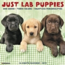 Image for Just Lab Puppies 2019 Wall Calendar (Dog Breed Calendar)