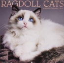 Image for Ragdoll Cats 2019 Wall Calendar