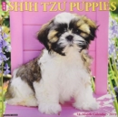 Image for Just Shih Tzu Puppies 2019 Wall Calendar (Dog Breed Calendar)