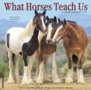 Image for What Horses Teach Us 2019 Wall Calendar