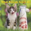 Image for What Kittens Teach Us 2019 Wall Calendar