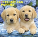 Image for Just Yellow Lab Puppies 2019 Wall Calendar (Dog Breed Calendar)