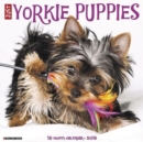 Image for Just Yorkie Puppies 2019 Wall Calendar (Dog Breed Calendar)