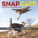Image for Snapcats 2019 Wall Calendar