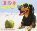 Image for Crusoe the Celebrity Dachshund 2019 Box Calendar (Dog Breed Calendar)