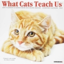 Image for What Cats Teach Us Mini 2019 Wall Calendar
