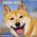 Image for Shiba Inus 2019 Wall Calendar (Dog Breed Calendar)