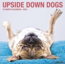 Image for Upside Down Dogs 2019 Wall Calendar