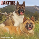Image for Just Akitas 2020 Wall Calendar (Dog Breed Calendar)