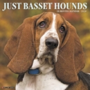 Image for Just Basset Hounds 2020 Wall Calendar (Dog Breed Calendar)