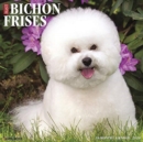 Image for Just Bichons Frises 2020 Wall Calendar (Dog Breed Calendar)