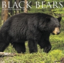 Image for Black Bears 2020 Wall Calendar
