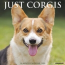 Image for Just Corgis 2020 Wall Calendar (Dog Breed Calendar)