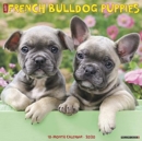 Image for Just French Bulldog Puppies 2020 Wall Calendar (Dog Breed Calendar)