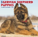 Image for Just German Shepherd Puppies 2020 Wall Calendar (Dog Breed Calendar)