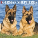 Image for Just German Shepherds 2020 Wall Calendar (Dog Breed Calendar)