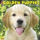 Image for Just Golden Puppies 2020 Wall Calendar (Dog Breed Calendar)