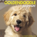 Image for Just Goldendoodle Puppies 2020 Wall Calendar (Dog Breed Calendar)