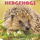 Image for Hedgehogs 2020 Wall Calendar