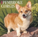 Image for Just Pembroke Corgis 2020 Wall Calendar (Dog Breed Calendar)