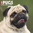 Image for Just Pugs 2020 Wall Calendar (Dog Breed Calendar)
