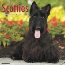 Image for Just Scotties 2020 Wall Calendar (Dog Breed Calendar)