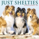 Image for Just Shelties 2020 Wall Calendar (Dog Breed Calendar)