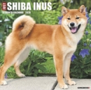 Image for Just Shiba Inus 2020 Wall Calendar (Dog Breed Calendar)