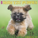 Image for Just Shih Tzu Puppies 2020 Wall Calendar (Dog Breed Calendar)