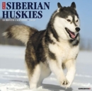 Image for Just Siberian Huskies 2020 Wall Calendar (Dog Breed Calendar)