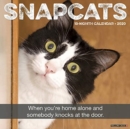 Image for Snapcats 2020 Wall Calendar
