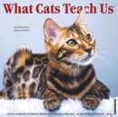 Image for What Cats Teach Us 2020 Wall Calendar