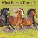 Image for What Horses Teach Us 2020 Wall Calendar