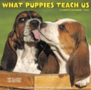 Image for What Puppies Teach Us 2020 Wall Calendar