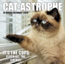 Image for Cat-Astrophe 2020 Mini Calendar