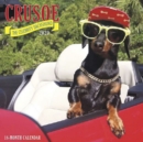 Image for Crusoe the Celebrity Dachshund 2020 Mini Wall Calendar (Dog Breed Calendar)