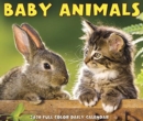 Image for Baby Animals 2020 Box Calendar
