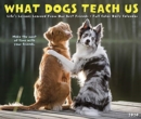 Image for What Dogs Teach Us 2020 Box Calendar