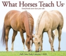 Image for What Horses Teach Us 2020 Box Calendar