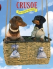 Image for Crusoe the Celebrity Dachshund 2020 Engagement Calendar (Dog Breed Calendar)