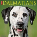 Image for Just Dalmatians 2021 Wall Calendar (Dog Breed Calendar)