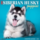 Image for Just Siberian Husky Puppies 2021 Wall Calendar (Dog Breed Calendar)