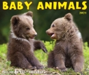 Image for Baby Animals 2021 Box Calendar