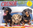 Image for Crusoe the Celebrity Dachshund 2021 Box Calendar (Dog Breed Calendar)