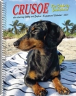 Image for Crusoe the Celebrity Dachshund 2021 Engagement Calendar (Dog Breed Calendar)