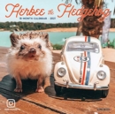 Image for Herbee the Hedgehog 2021 Mini Wall Calendar
