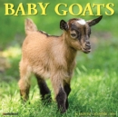 Image for Baby Goats 2022 Wall Calendar