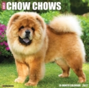 Image for Just Chow Chows 2022 Wall Calendar (Dog Breed)