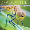 Image for Dragonflies 2022 Wall Calendar