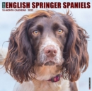 Image for Just English Springer Spaniels 2022 Wall Calendar (Dog Breed)